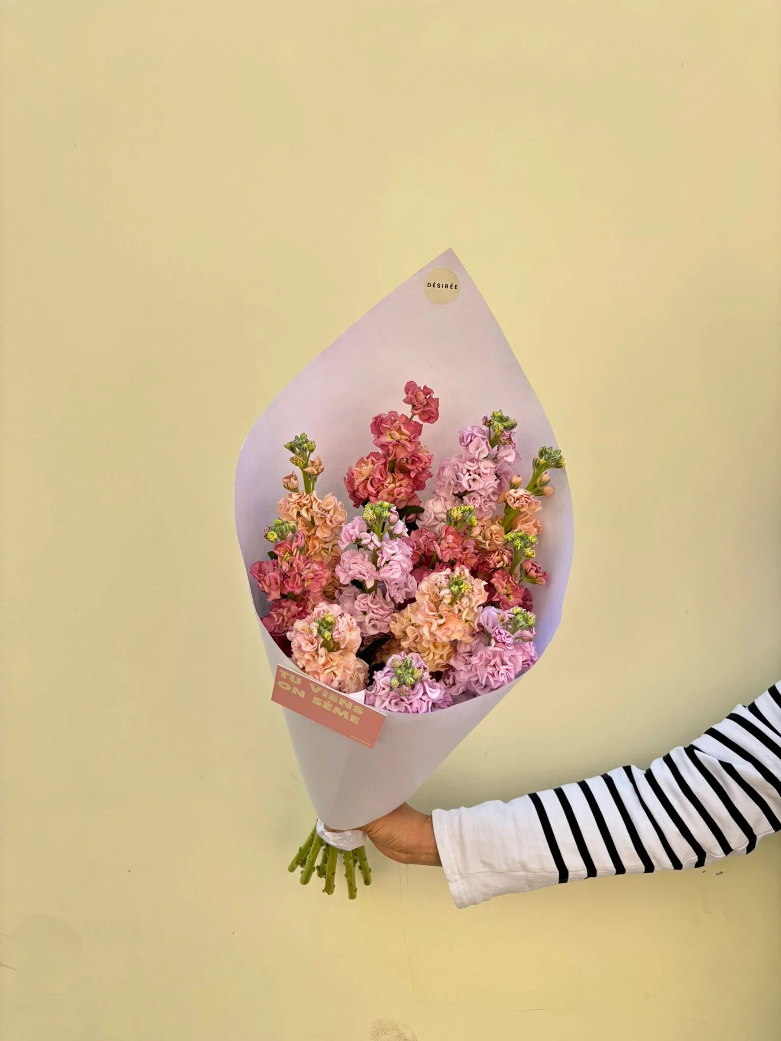 Nos fleurs locales et de saison
